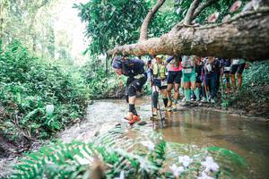 BIB: 
                            <button type="button" onclick="openModal(25471856)" class="btn btn-primary btn-sm float-right btn-popup" data-toggle="modal" data-target=".modal-high-quality">
                        <i class="fas fa-shopping-cart"></i> Add to Cart
                    </button>
                                            <button type="button" onclick="isThisMe(25471856, true)" class="btn btn-success btn-sm float-right btn-popup btn-isme hidden" data-toggle="tooltip" data-placement="bottom" title="นี่คือรูปของคุณใช่ไหม คลิกที่นี่เพื่อเอาเข้าอัลบั้ม">
                        <i class="fas fa-plus"></i> Add to album
                    </button>
                    <button type="button" onclick="isThisMe(25471856, false)" class="btn btn-warning btn-sm float-right btn-popup btn-isnotme hidden">
                        <i class="fas fa-ban"></i> Remove from album
                    </button>